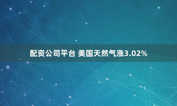 配资公司平台 美国天然气涨3.02%
